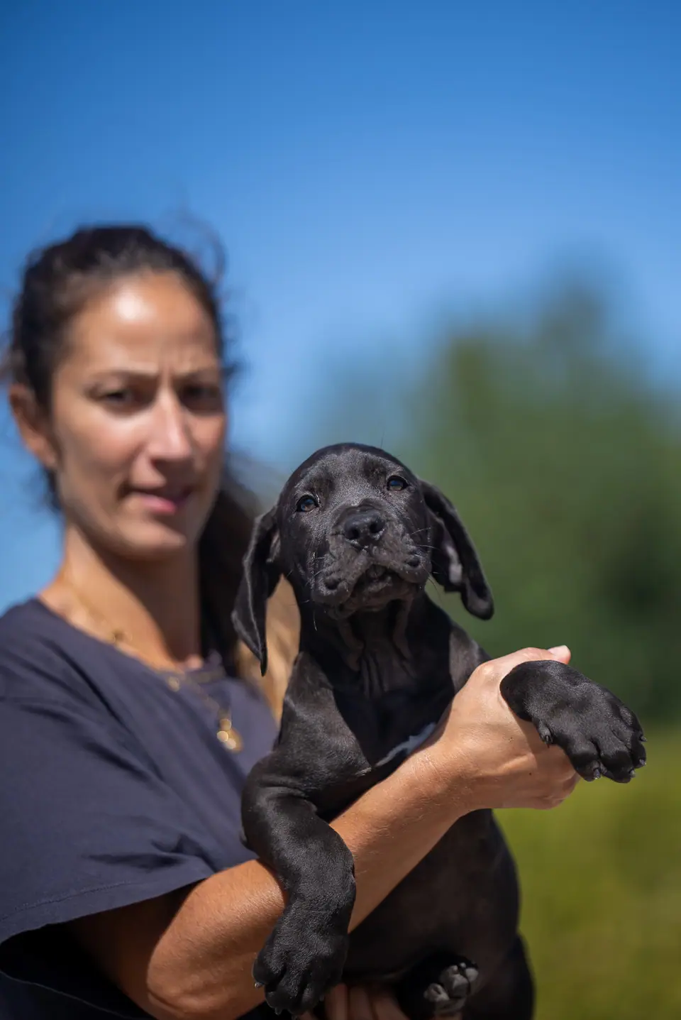 Cachorro Boerboel macho preto, ninhada Floki × Bruxa, foto 4