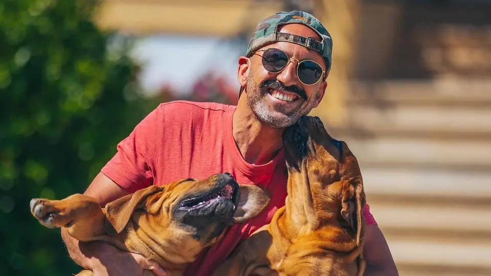 Boerboel ou Pastor Alemão de trabalho: qual deve escolher?