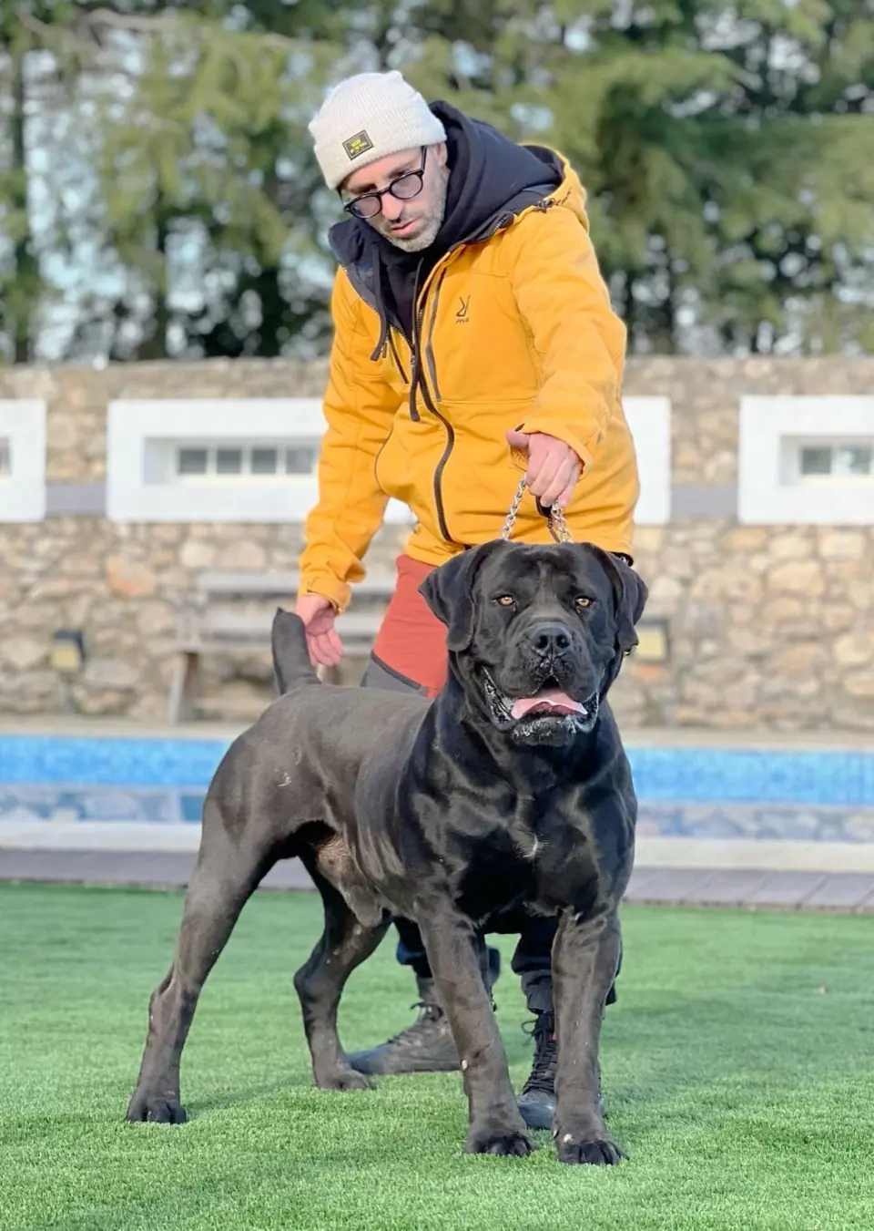 Rui Navarro com um Boerboel preto no canil
